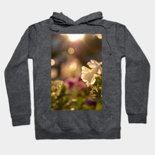 Golden hour Phlox Hoodie